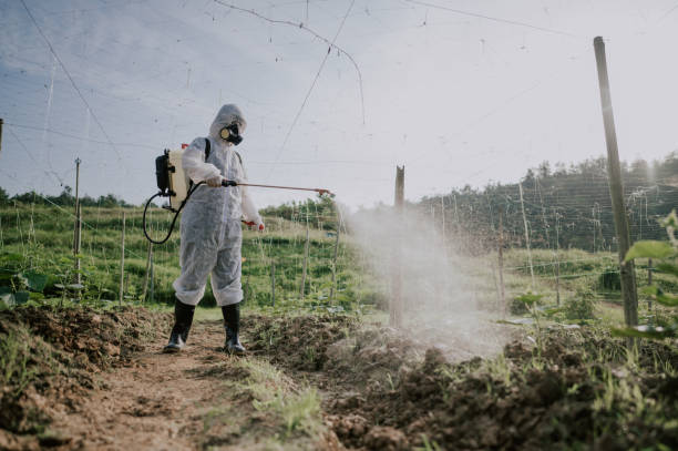 Best Mosquito Control Services  in West Elmira, NY