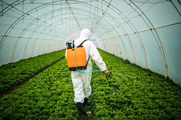 Reliable West Elmira, NY Pest Control Solutions