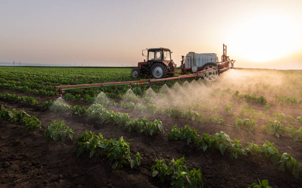 Best Commercial Pest Control Services  in West Elmira, NY