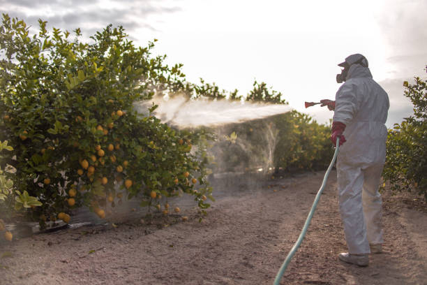 Pest Control Cost in West Elmira, NY